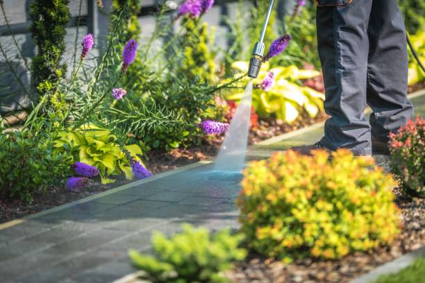 Best House Exterior Washing  in Murphysboro, IL