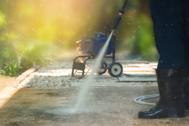 Best Gutter Cleaning  in Murphysboro, IL